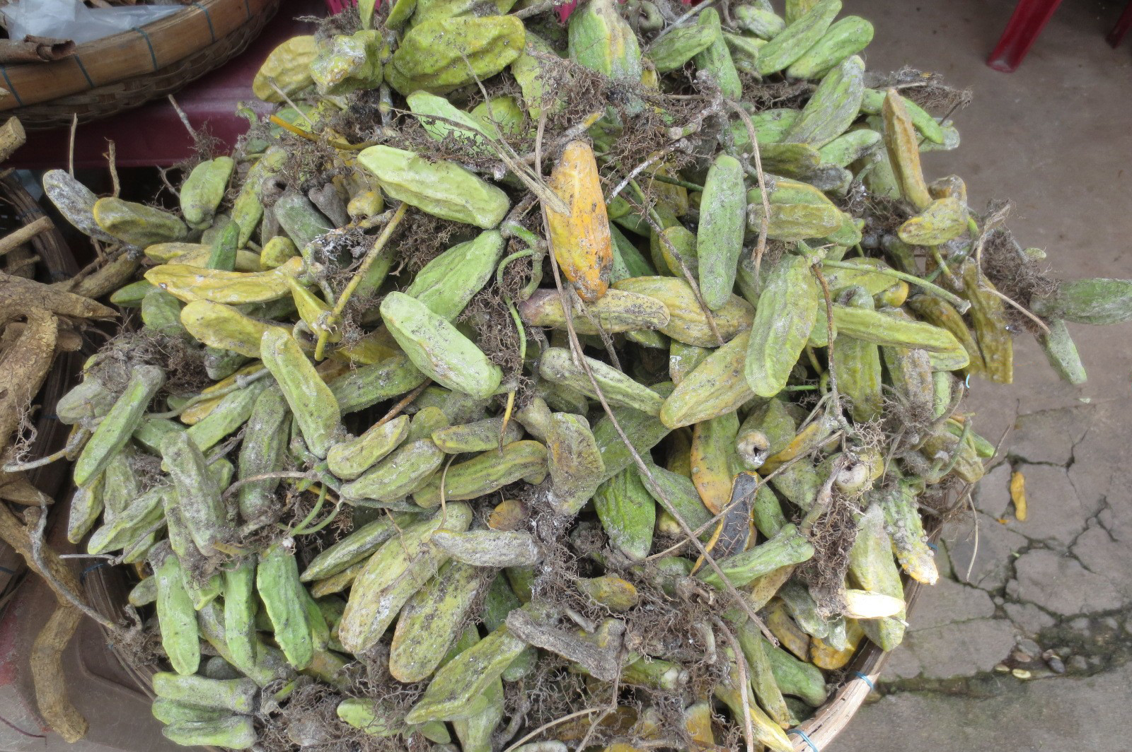 Cách ngâm rượu mỏ quạ tại nhà