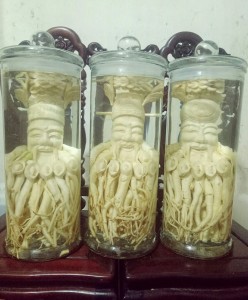 đinh lăng điêu khắc tam đa